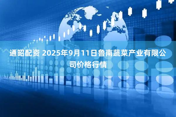 通昭配资 2025年9月11日鲁南蔬菜产业有限公司价格行情
