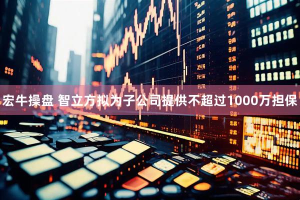 宏牛操盘 智立方拟为子公司提供不超过1000万担保