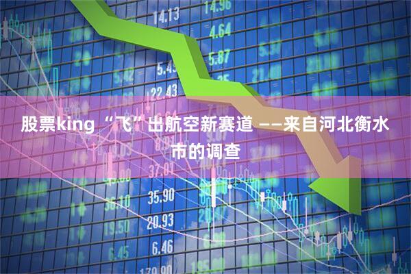 股票king “飞”出航空新赛道 ——来自河北衡水市的调查