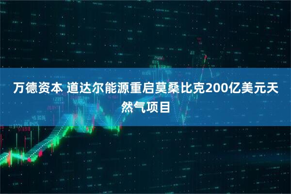 万德资本 道达尔能源重启莫桑比克200亿美元天然气项目