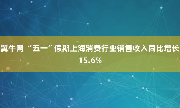 翼牛网 “五一”假期上海消费行业销售收入同比增长15.6%