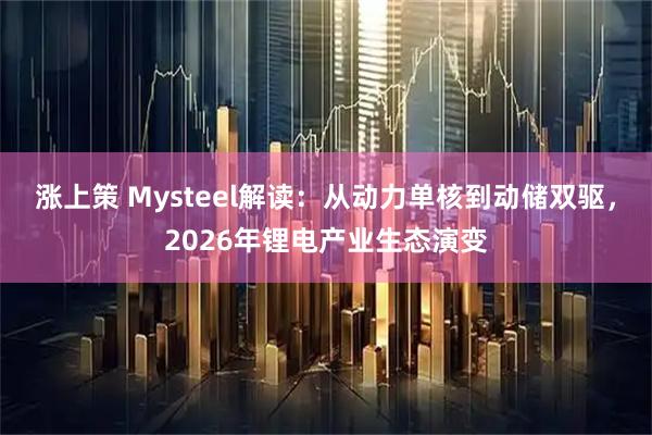 涨上策 Mysteel解读：从动力单核到动储双驱，2026年锂电产业生态演变